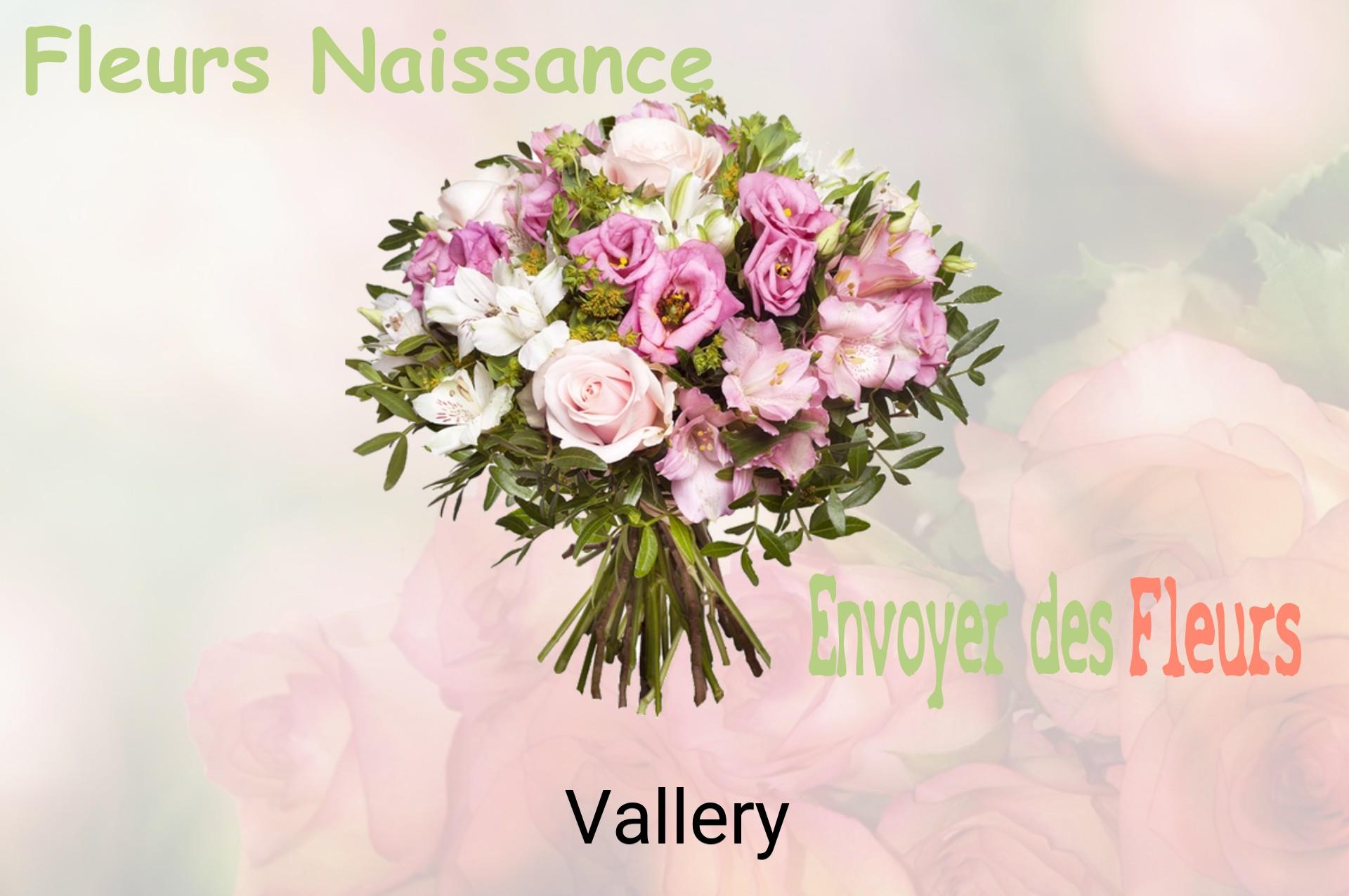 Bouquet de fleurs de naissance livré à Vallery